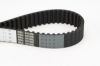Timing Belt CARNIVAL II (GQ) 2.9 CRDi