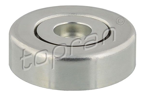 Deflection/Guide Pulley, V-ribbed belt Opel, BMW/Mini, General Motors