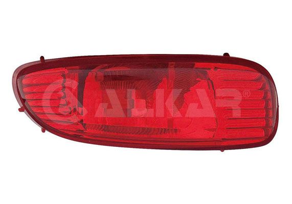 Rear Fog Light
