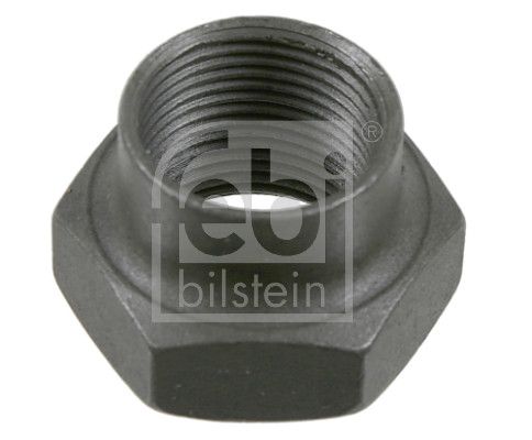 Nut, kingpin Ford Pkw 6 102 936