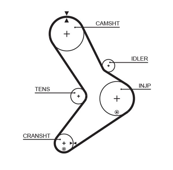 Timing Belt Citroen Jumper 2.8 HDI - 152 h