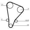 Timing Belt Kit CT 521 K1