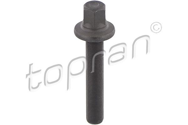 Pulley Bolt BMW/MINI