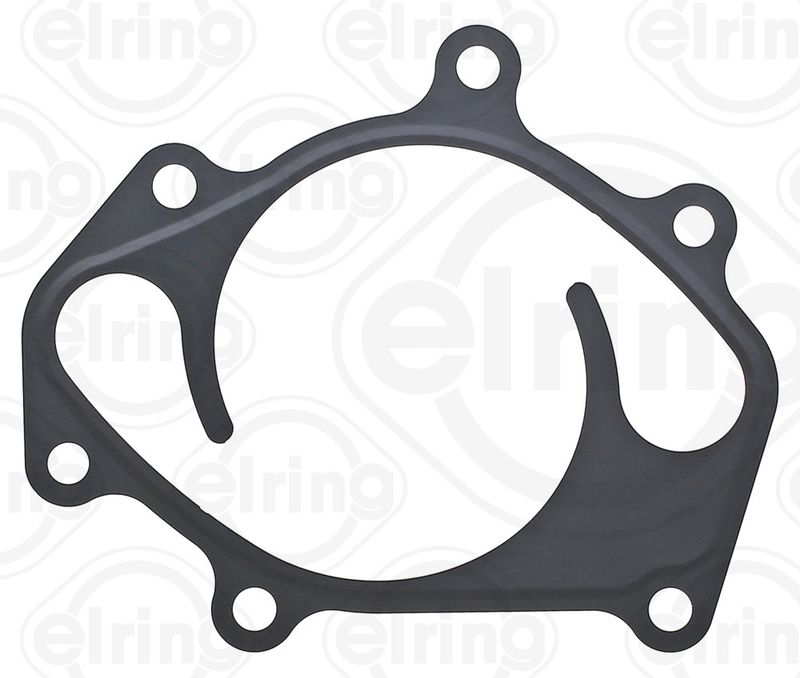 Gasket, water pump Nissan