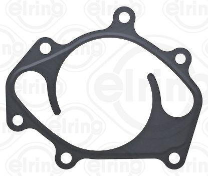 Gasket, water pump Nissan