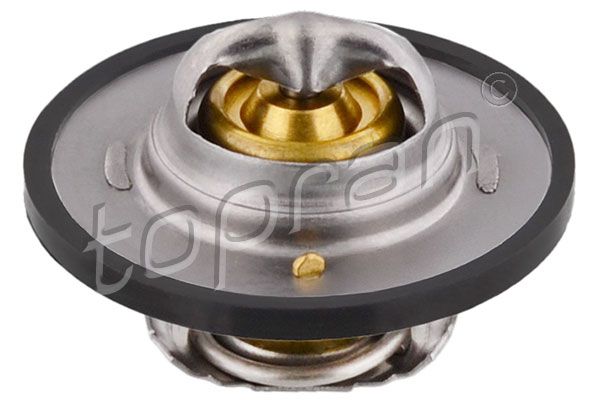 Thermostat, coolant FORD