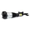 Air Suspension Strut