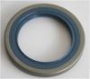 Shaft Seal, wheel hub Iveco 40003260