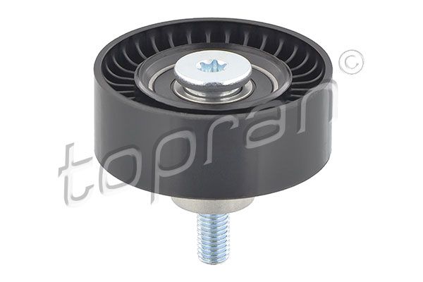 Deflection/Guide Pulley, V-ribbed belt BMW/MINI