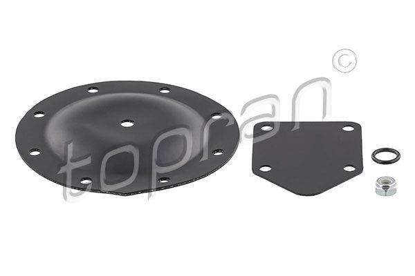 Membrane, vacuum pump VAG