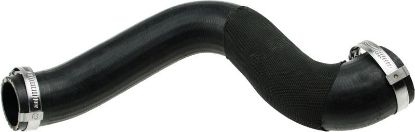Charger Air Hose