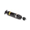 Air Suspension Strut 06-11 Buick Lucerne, 06-11 Cadillac DTS 19302768