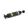 Air Suspension Strut 06-11 Buick Lucerne, 06-11 Cadillac DTS 19302768
