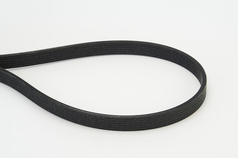 V-Ribbed Belt BMW - 11 28 7 800 345