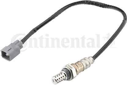 Oxygen Sensor