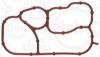 Gasket, oil cooler AUDI