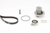 Water Pump & Timing Belt Kit GENERAL MOTORS