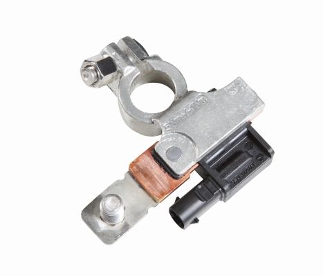 Sensor, battery management