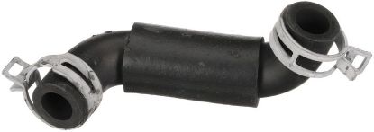 Hose, crankcase ventilation