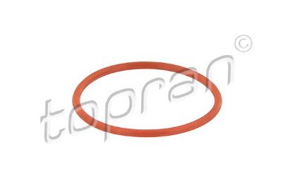 Gasket, intake manifold housing VAG - N   905 216 04