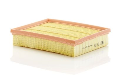 Air Filter FORD - DS73-9601-BA