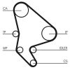 Timing Belt Kit C5 (DC_), 607 (9D, 9U) 2.2 HDI