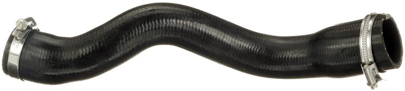 Charger Air Hose
