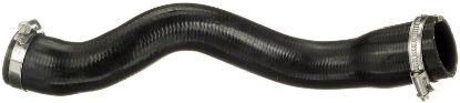 Charger Air Hose