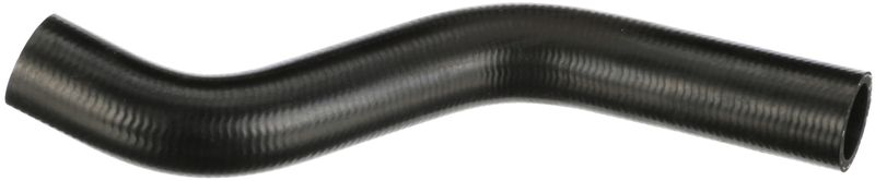 Radiator Hose HONDA 19501RZPG01