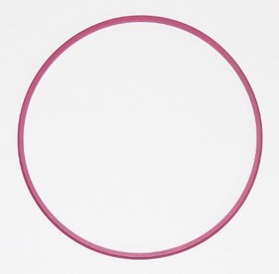 Seal Ring, cylinder liner DAIMLER NKW