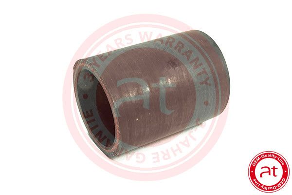 Charger Air Hose FORD Focus