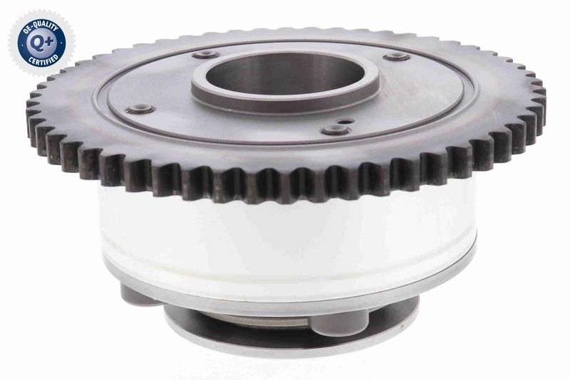 Gear/Sprocket, camshaft