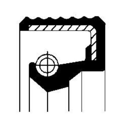 Shaft Seal, manual transmission MB 0089977547