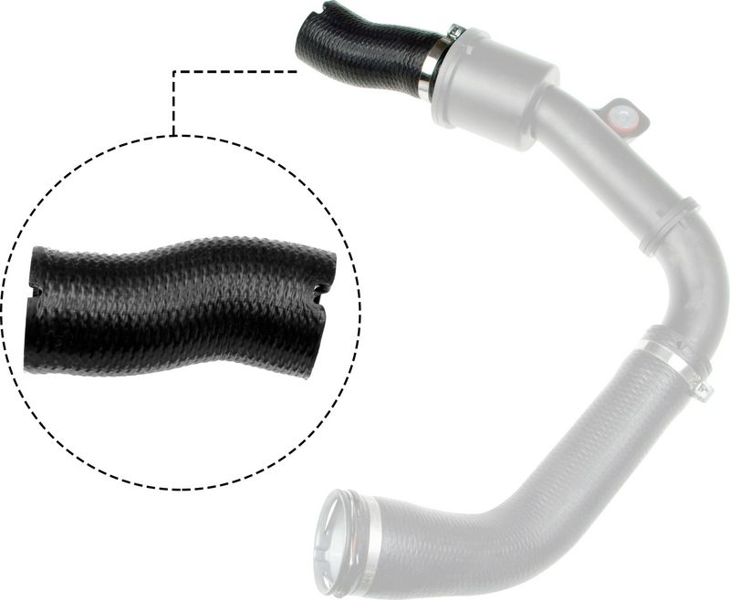 Charger Air Hose
