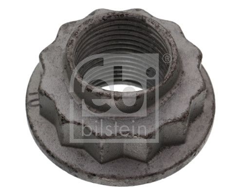 Nut, kingpin VW-Audi WHT 005 286