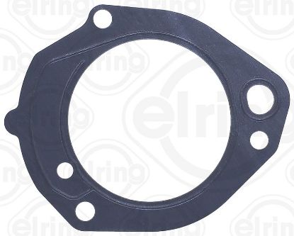 Gasket, fuel pump DAIMLER NKW