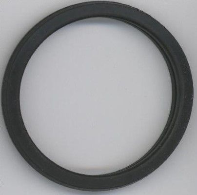 Seal, thermostat MONDEO IV (BA7)