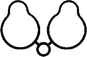 Gasket, intake manifold PSA 0348N0