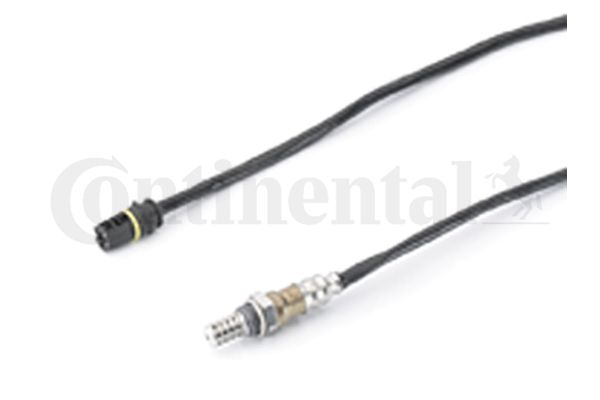 Oxygen Sensor
