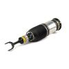 Air Suspension Strut AUDI A6