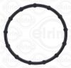 Gasket, coolant flange Ford USA HL3Z-8590-A