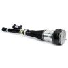 Air Suspension Strut Nw Rr Lt Eibach Air Strut-13- MB S-Class/Maybach (