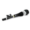 Air Suspension Strut Nw Rr Lt Eibach Air Strut-13- MB S-Class/Maybach (