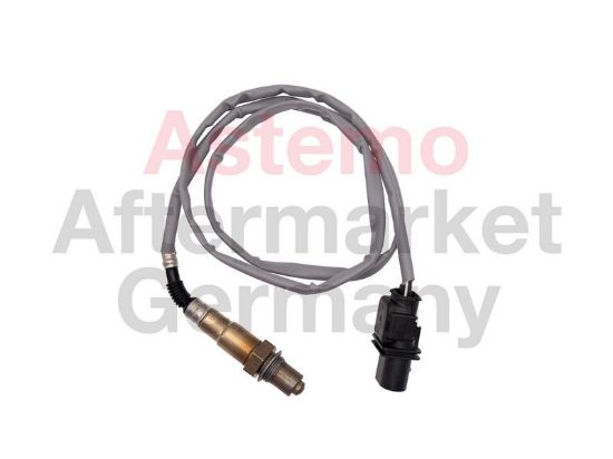 Oxygen Sensor