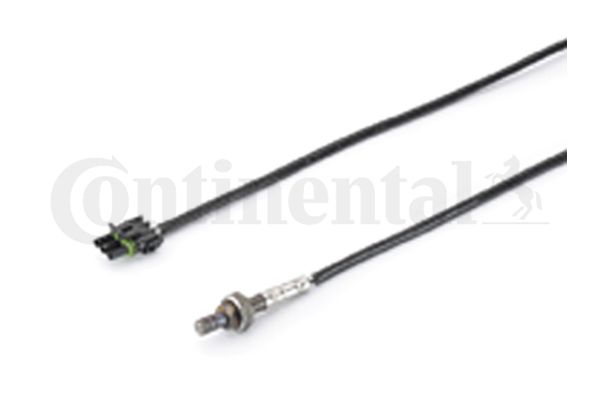 Oxygen Sensor