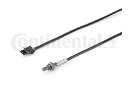 Oxygen Sensor