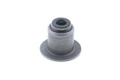 Seal Ring, valve stem