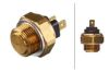 Temperature Switch, radiator fan