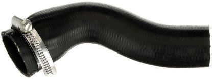 Charger Air Hose FIAT - 51875984
