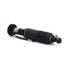 Air Suspension Strut MB SL-Class (R230) 03-06 2303200013